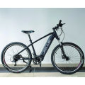 26X4.0 Fat Tire Folding Bicycle Electric Mountain Bike 48V 500W 10ah Panasoni′c Lithium Battery